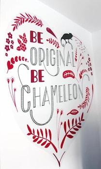 Chameleon 2*